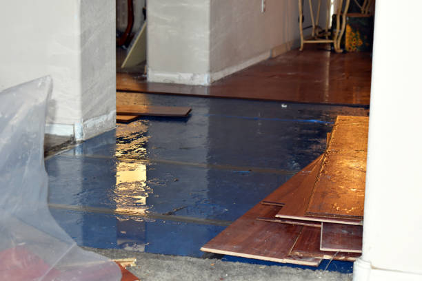 Professional Water Damage Restoration technician working in Cedar Island, NC